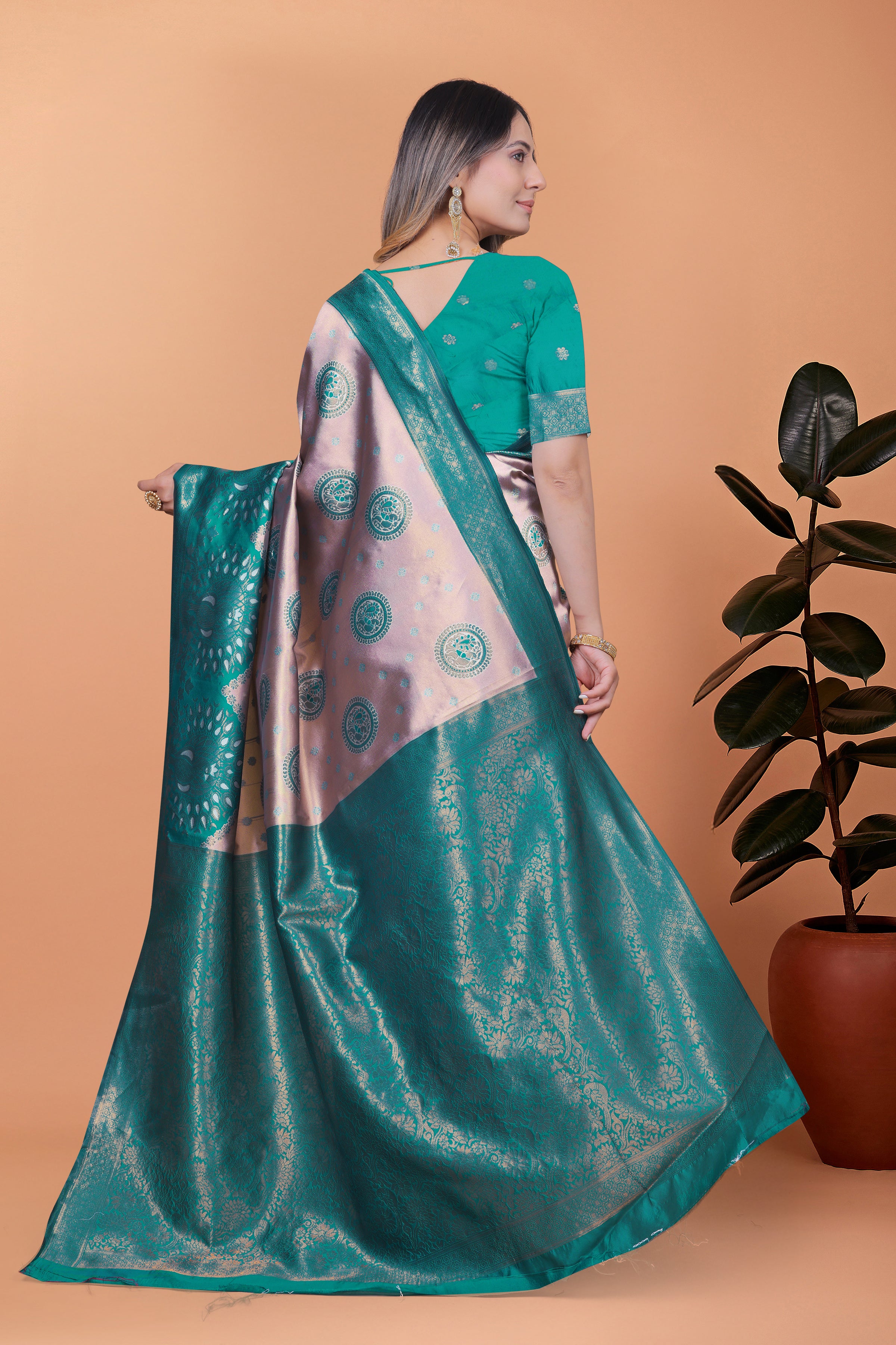 Banarasi Saree with Plum Borders with 8 Color